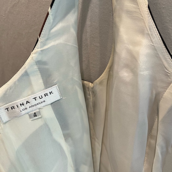 Stripey Midi Dress - Picture 5 of 5